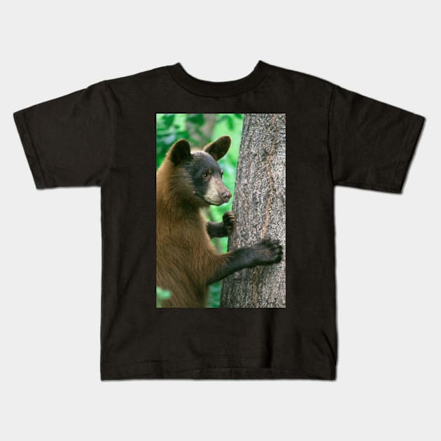 Black Bear in The Woods Kids T-Shirt by Bravuramedia